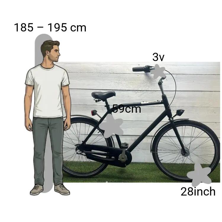 Bicicletta usata Gazelle NL 2/4