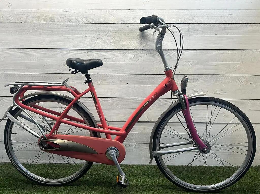 BATAVUS picture