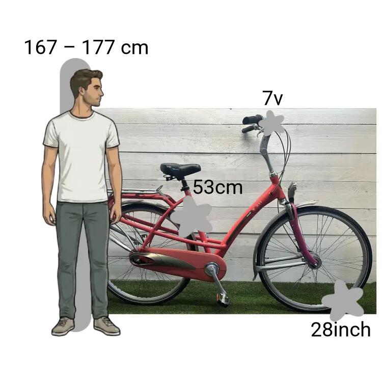 Bicicletta usata Batavus Mambo 2/4