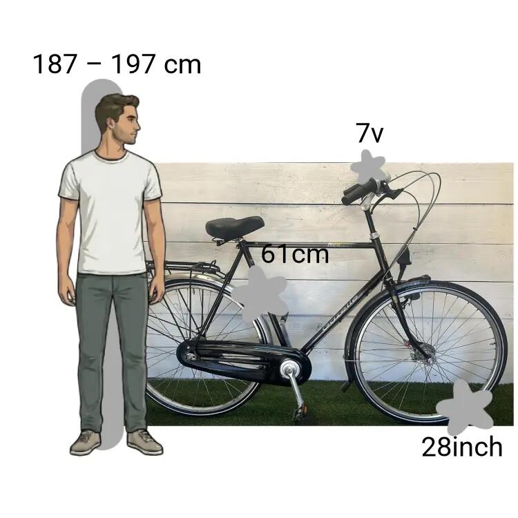 Bicicletta usata Gazelle Paris 2/4