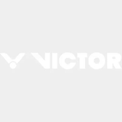 VICTOR picture