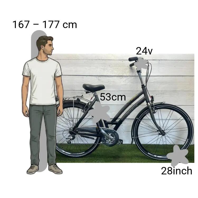 Bicicletta usata Gazelle Medeo 2/4