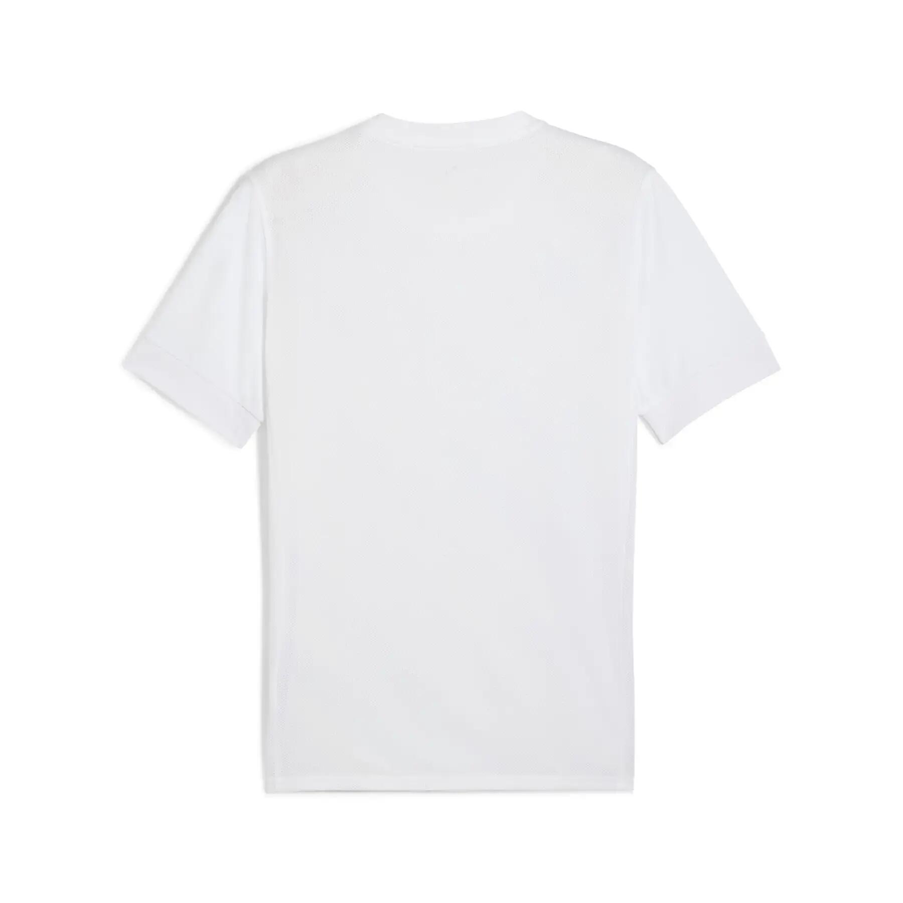 Jersey Puma teamGoal Graphic 2/2