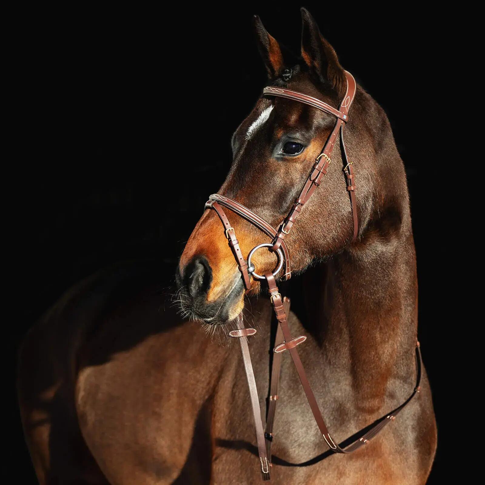HORZE picture