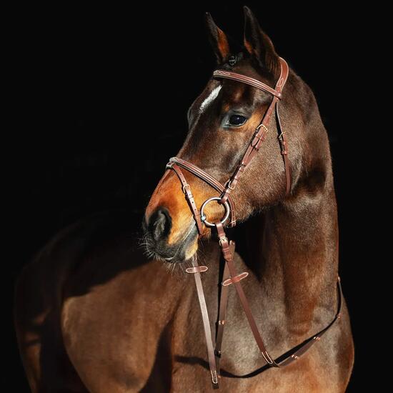 Bridons équitation pour cheval à muserolle combinée pour cheval matelassé Horze