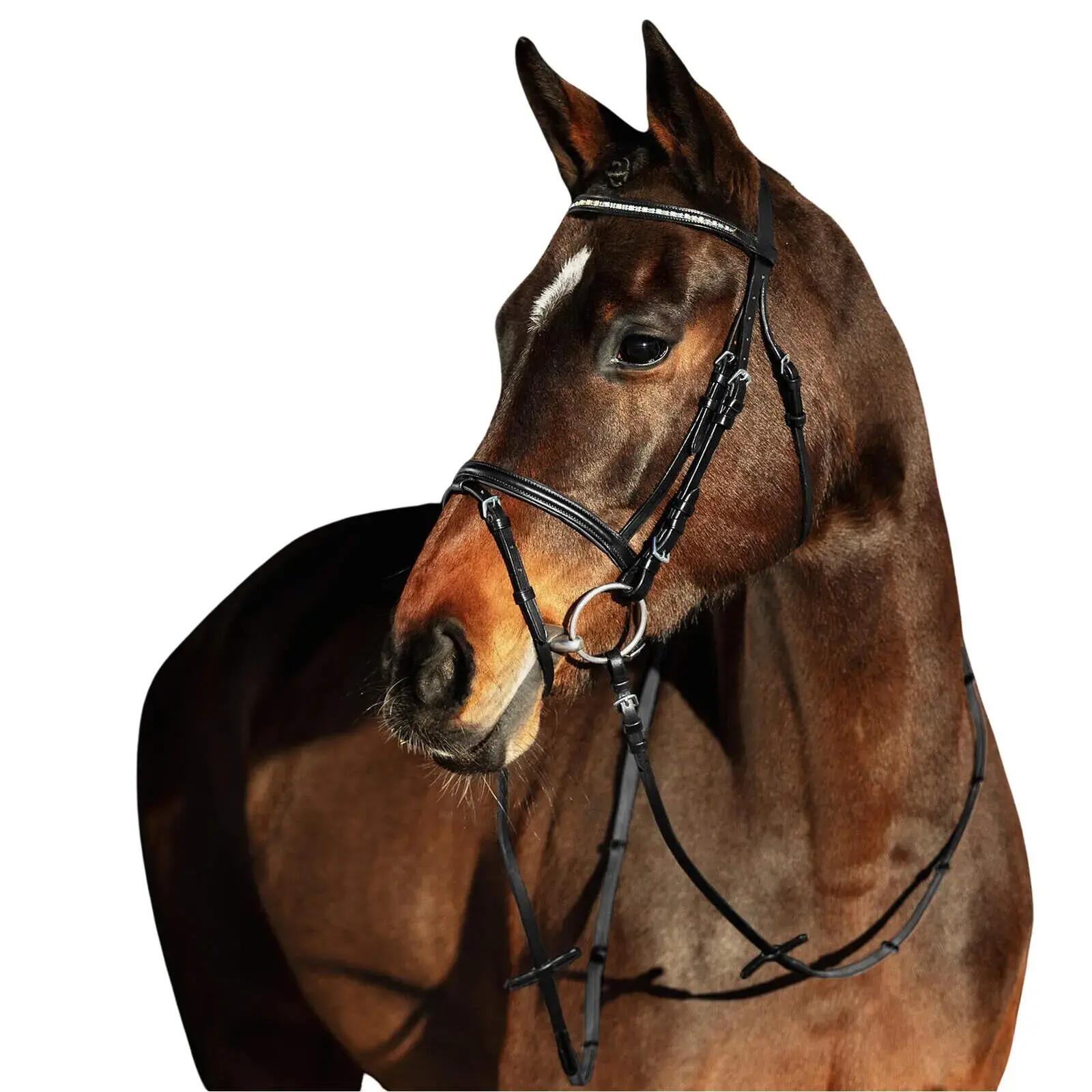 Hoofdstellen voor paarden Horze Weston 2/2