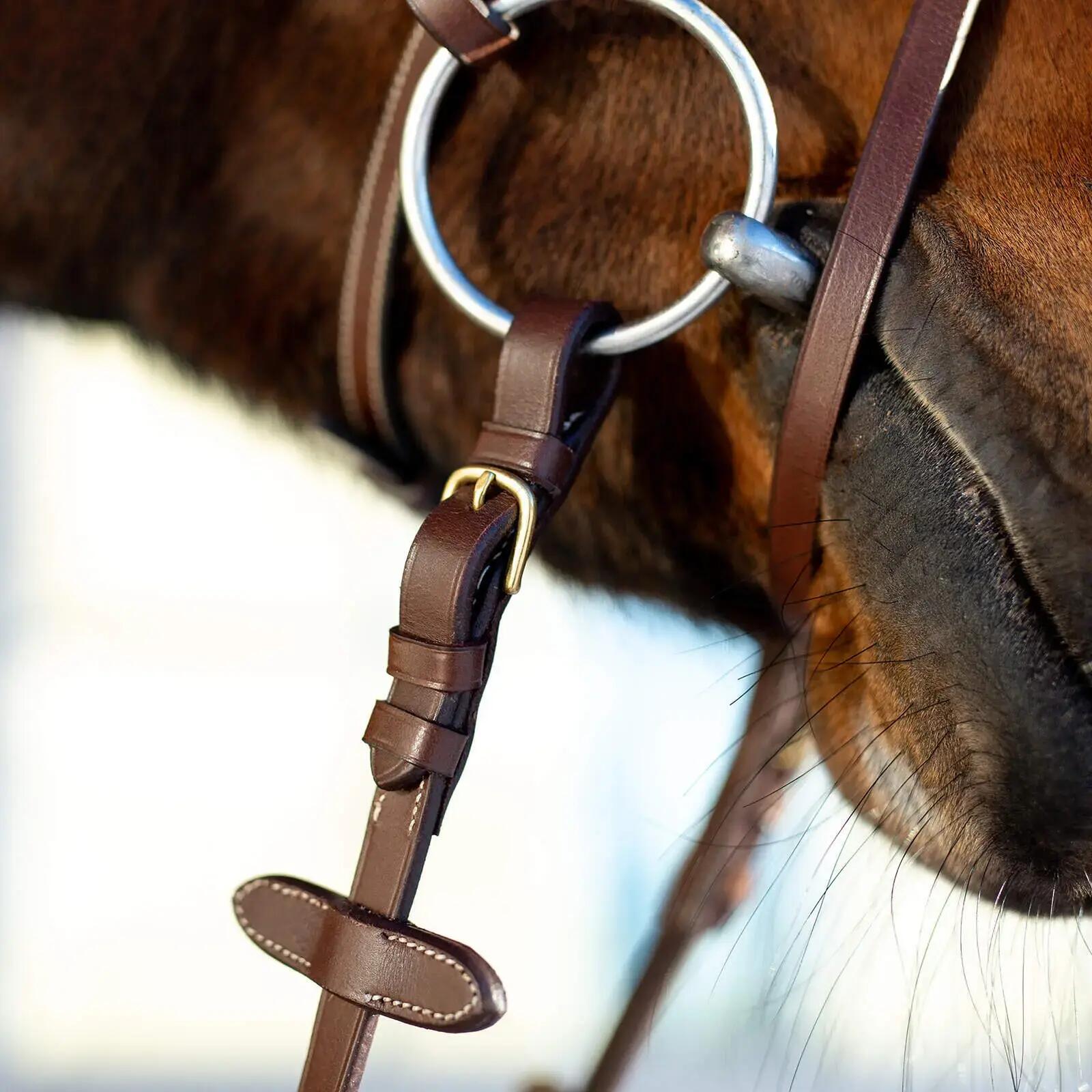 Reittrense für Pferd mit kombiniertem Reithalfter für Pferd gepolstert Horze Con 6/6