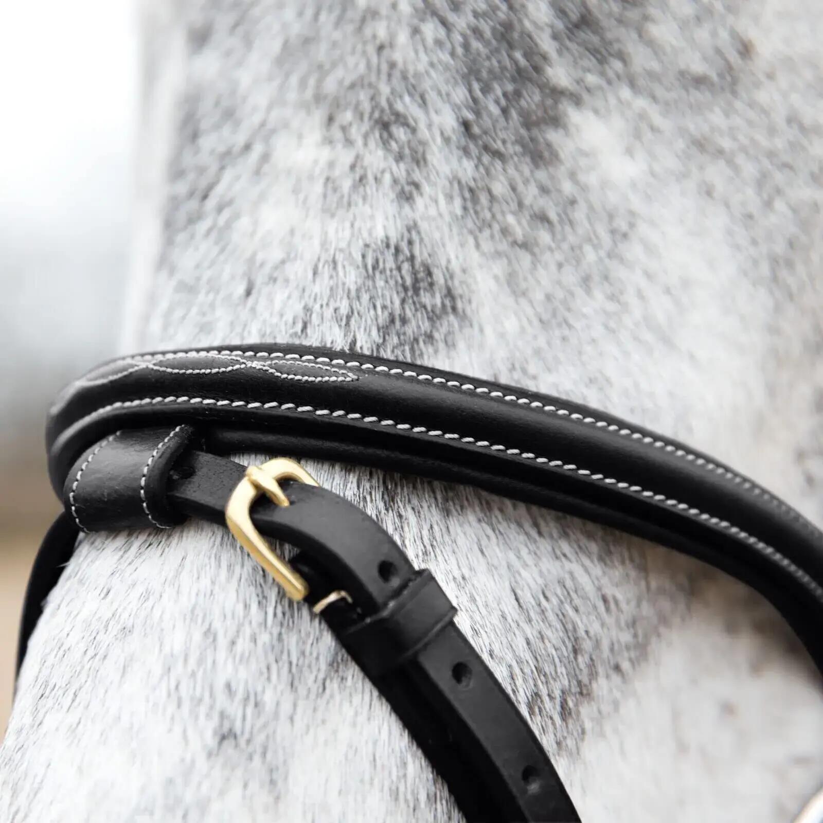Snaffle hoofdstellen voor paarden Horze Constance 4/4