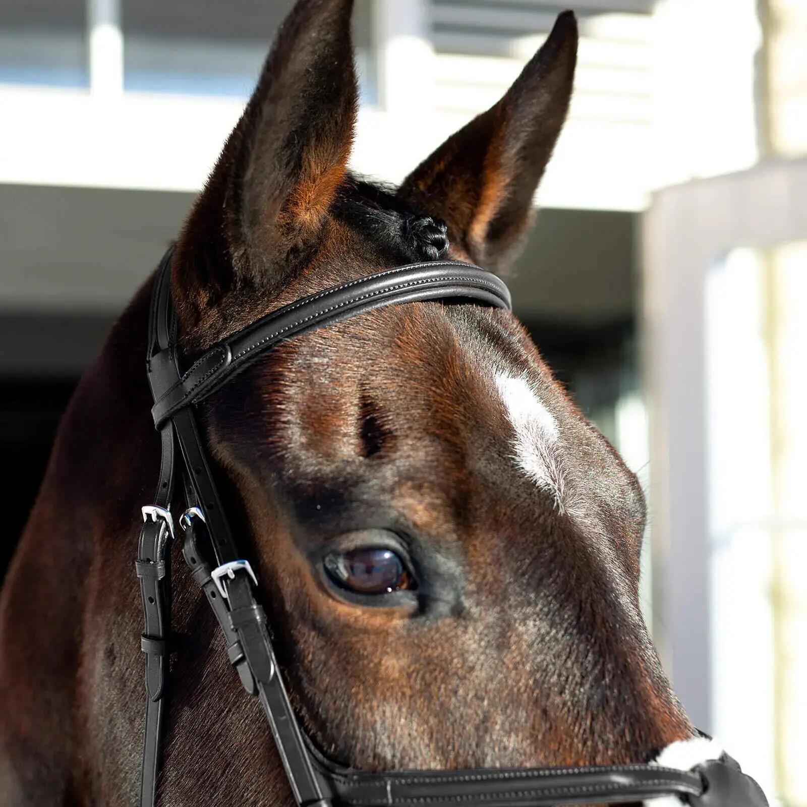 Snaffle hoofdstellen voor gekruiste paarden Horze Prescott 3/5
