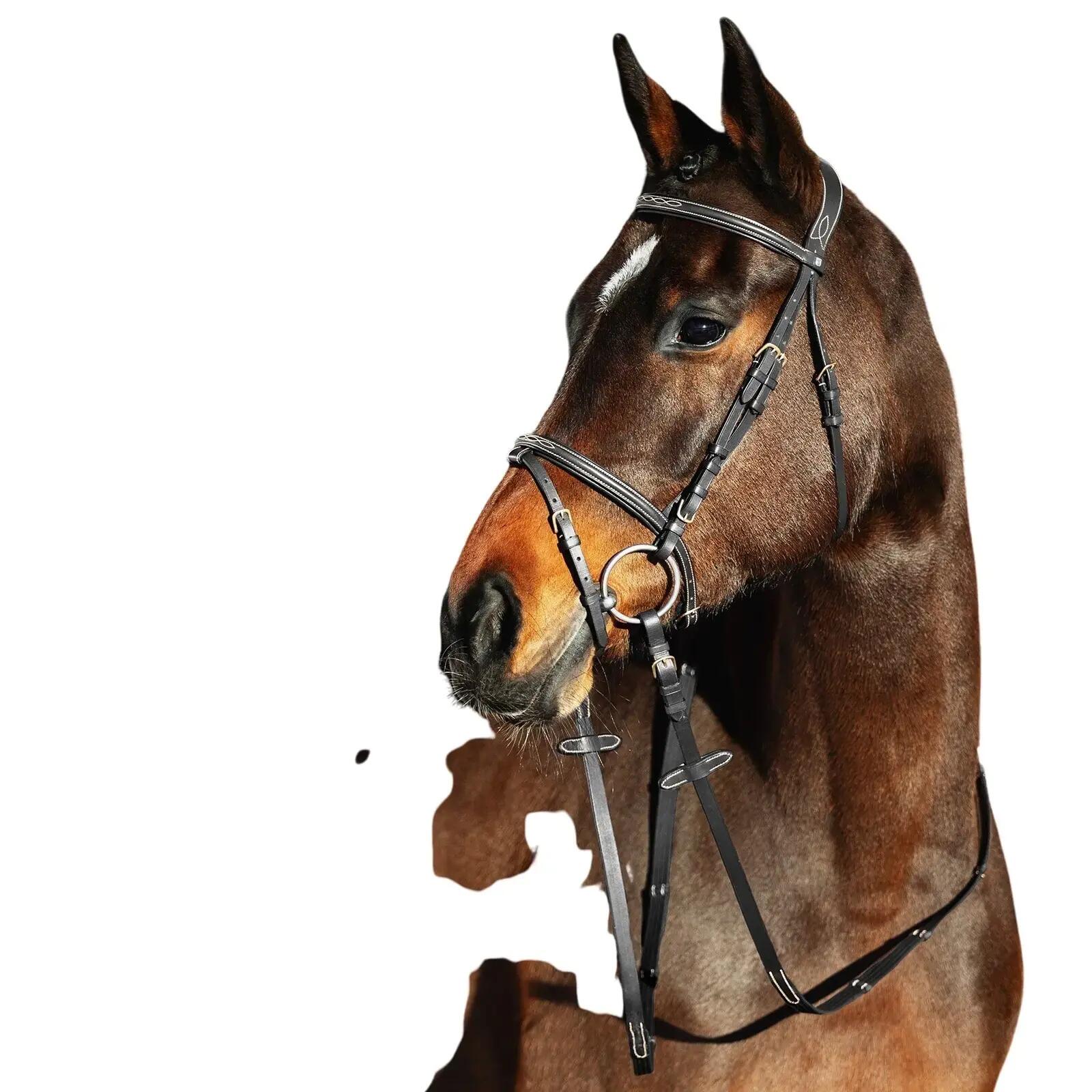 Snaffle hoofdstellen voor paarden Horze Constance 2/4