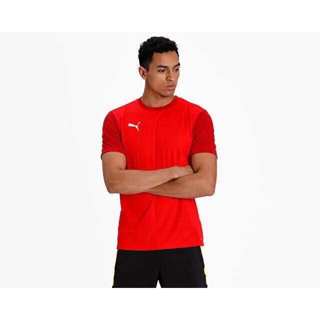 Puma Teamgoal 23 Sideline Tee Erkek Futbol Antrenman Tişörtü 65648401 Kırmızı