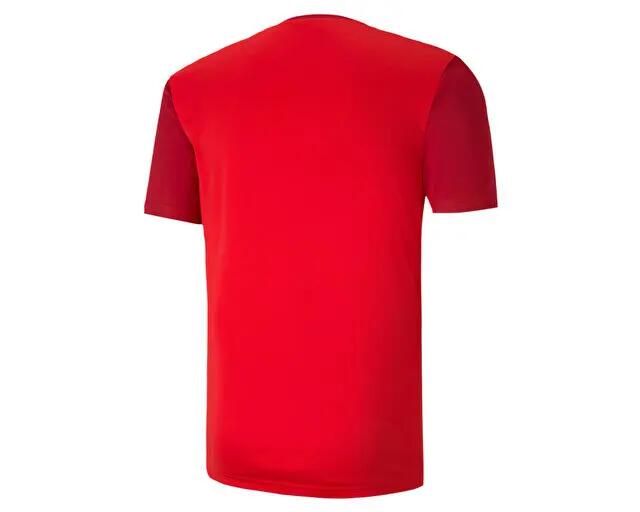 Puma Teamgoal 23 Sideline Tee Erkek Futbol Antrenman Tişörtü 65648401 Kırmızı 2/5