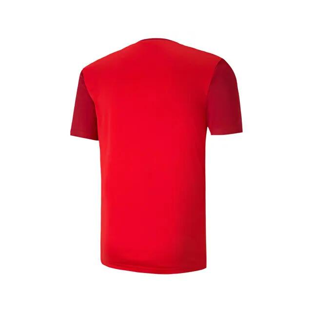 Puma Teamgoal 23 Sideline Tee Erkek Futbol Antrenman Tişörtü 65648401 Kırmızı