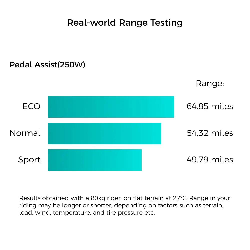 Rower Elektryczny Miejski Fiido C11 Pro bagażnik stopka błotniki 15/15