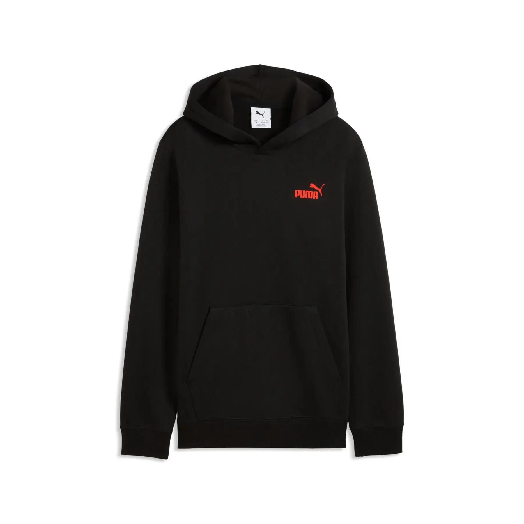 PUMA picture