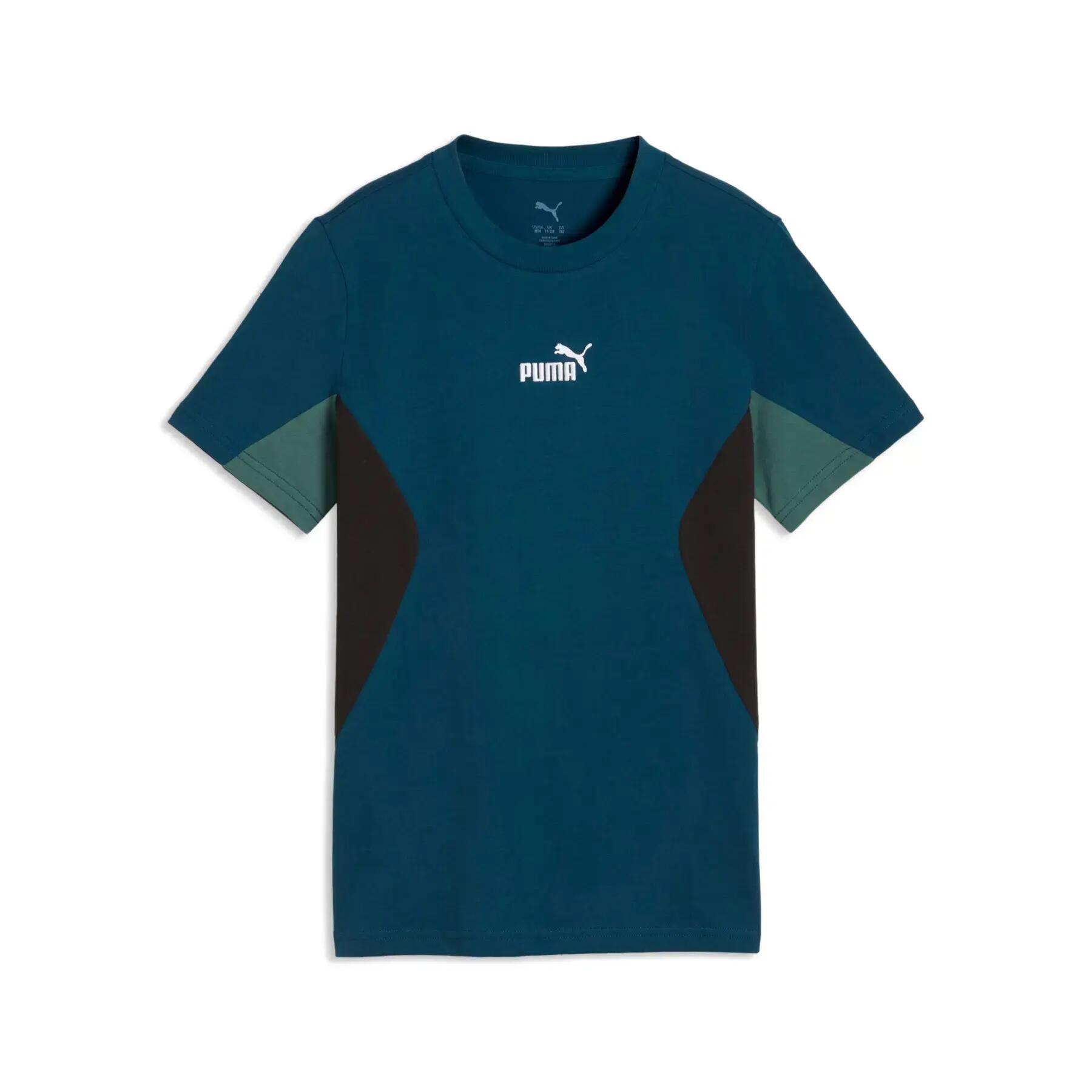 PUMA picture