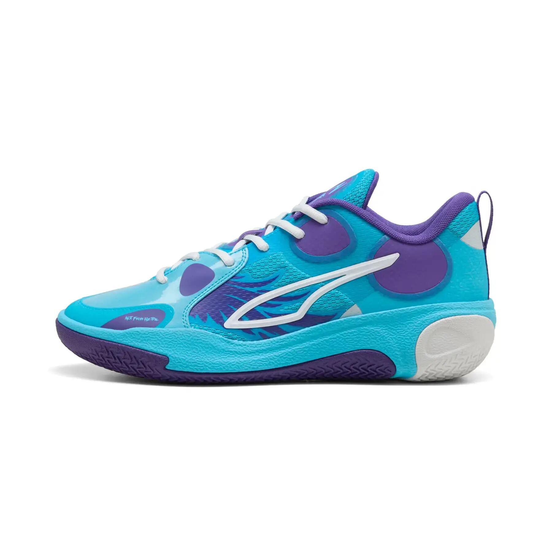 PUMA picture