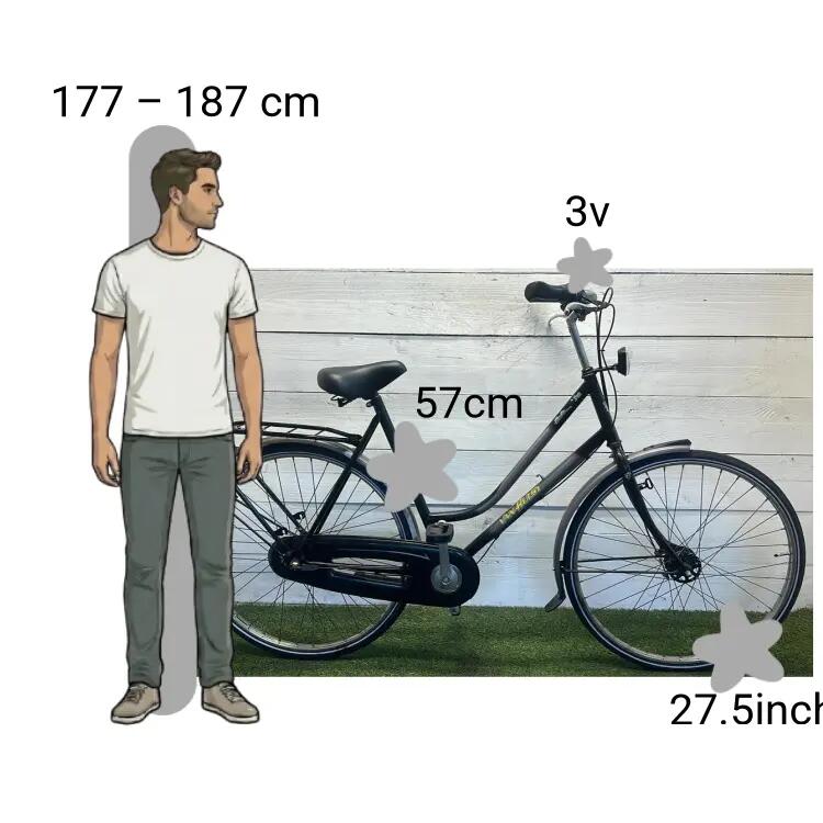 Bicicletta usata Van hust 2/4