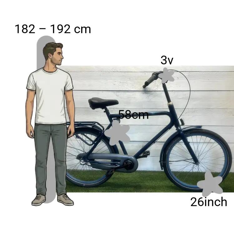 Bicicletta usata Batavus BUB 2/4