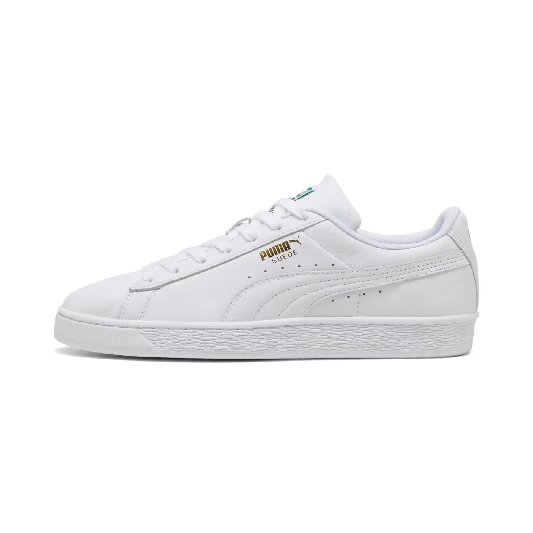 PUMA picture