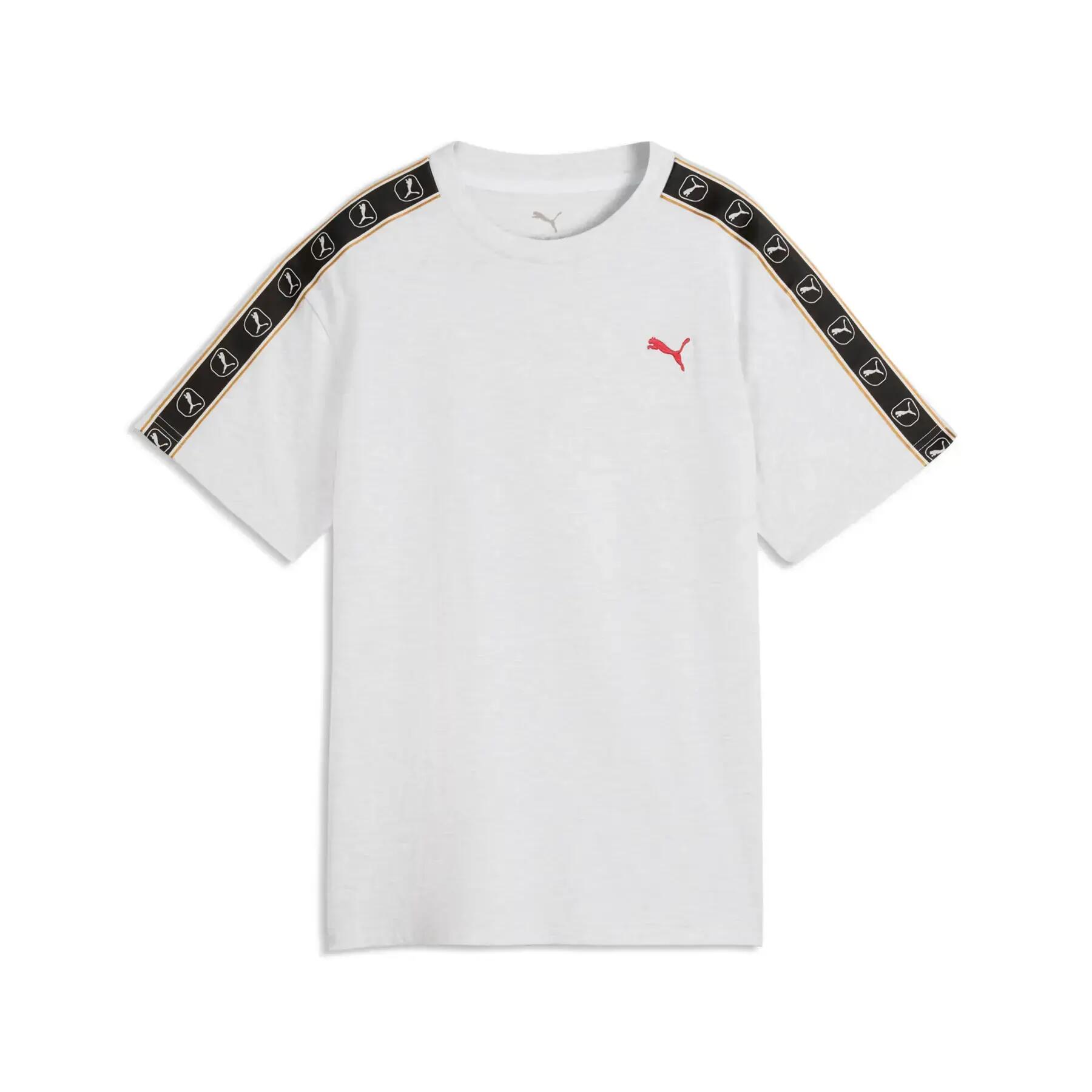 PUMA picture