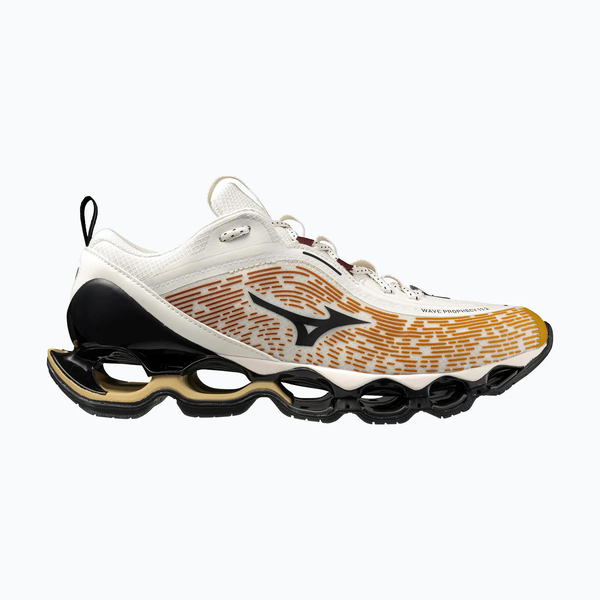 MIZUNO picture