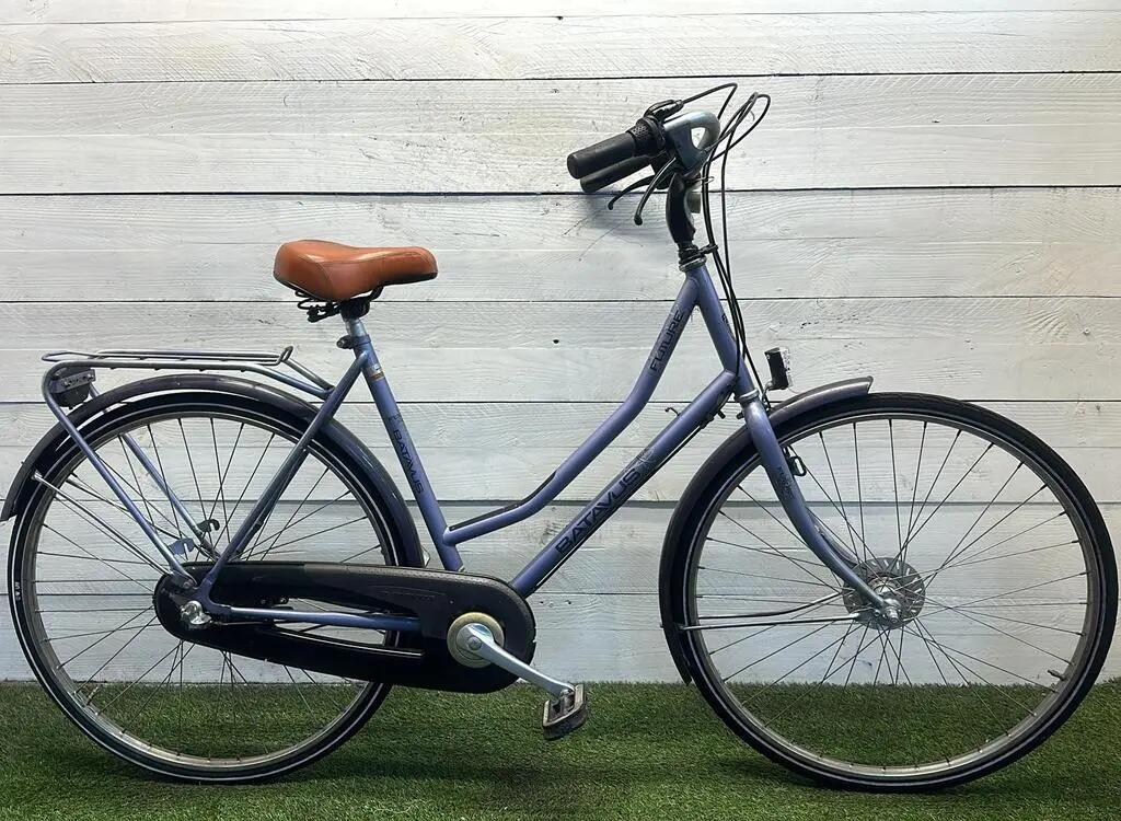 BATAVUS picture
