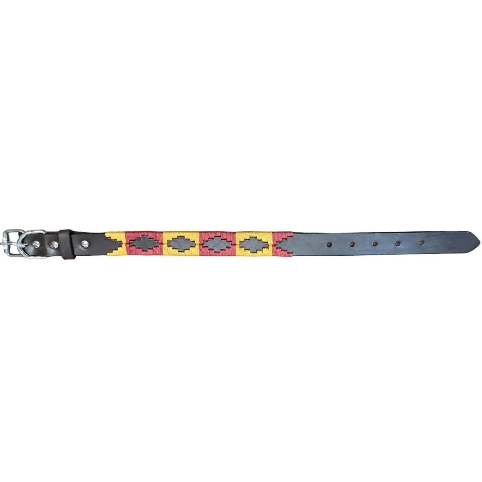 Collier pour chien en cuir Lexhis Navajo 1/1