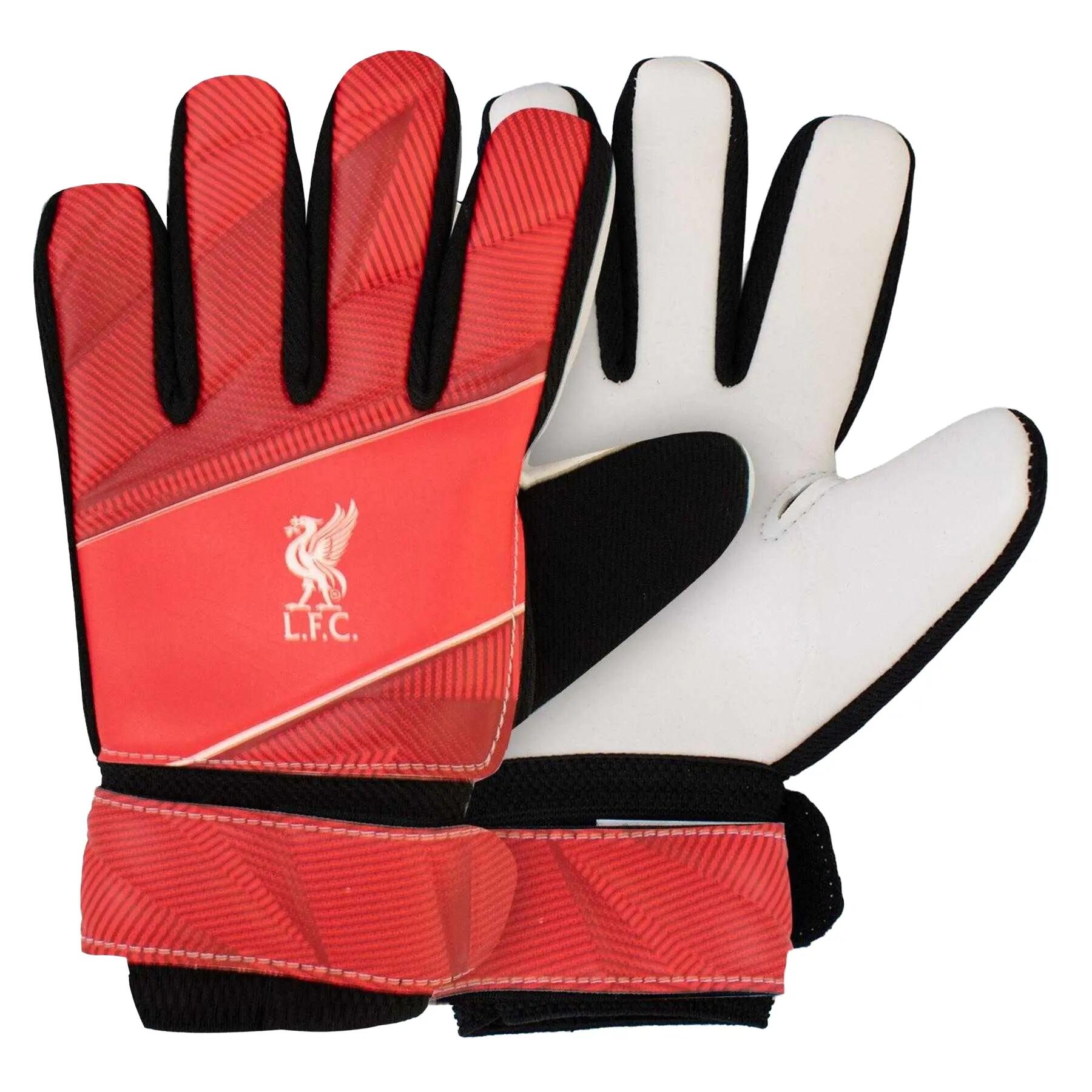 LIVERPOOL FC picture