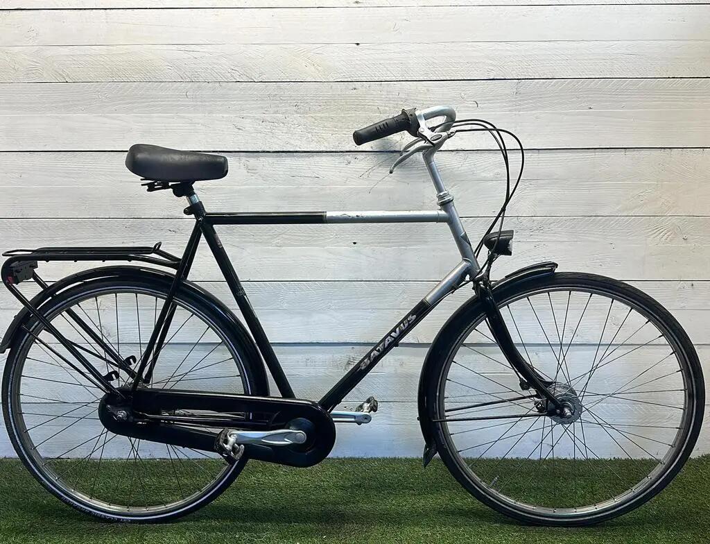 BATAVUS picture