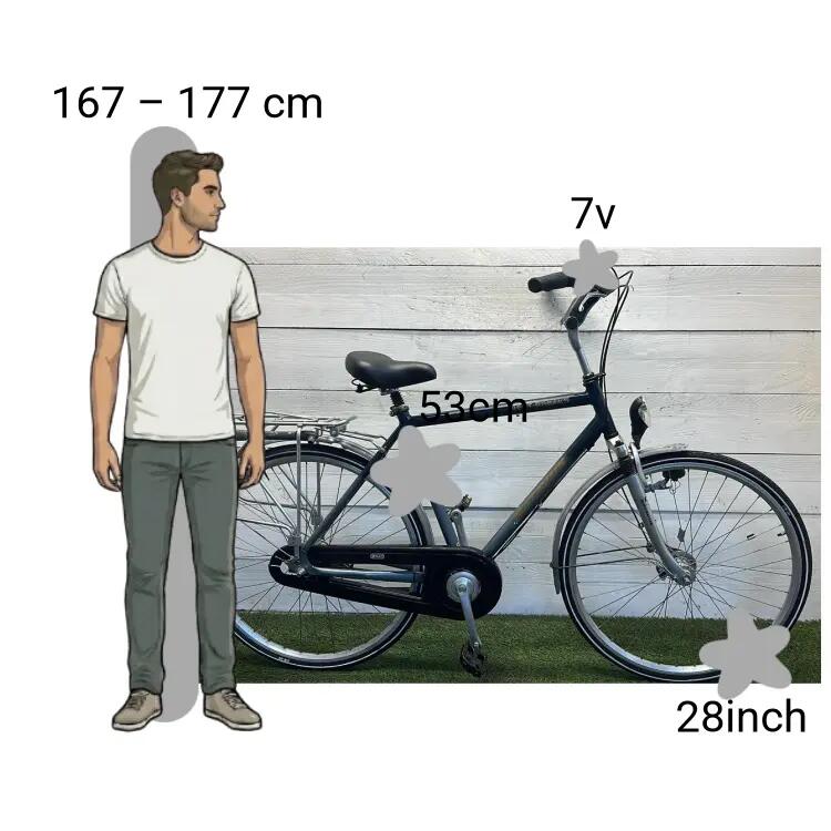 Bicicletta usata Batavus Best Breaks 2/4
