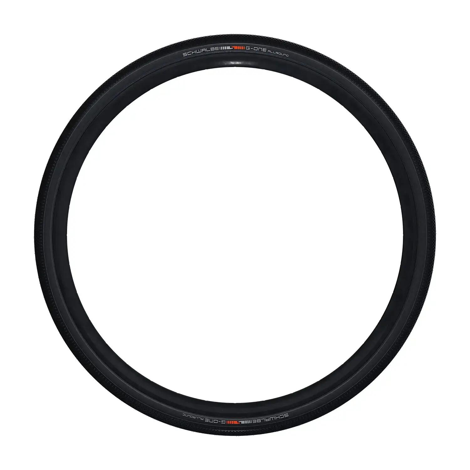 SCHWALBE picture