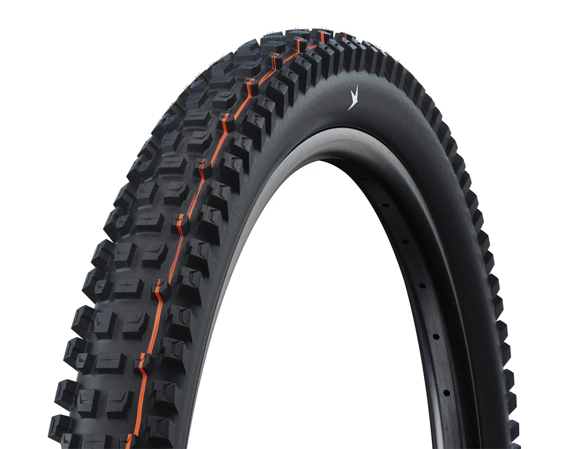 SCHWALBE picture
