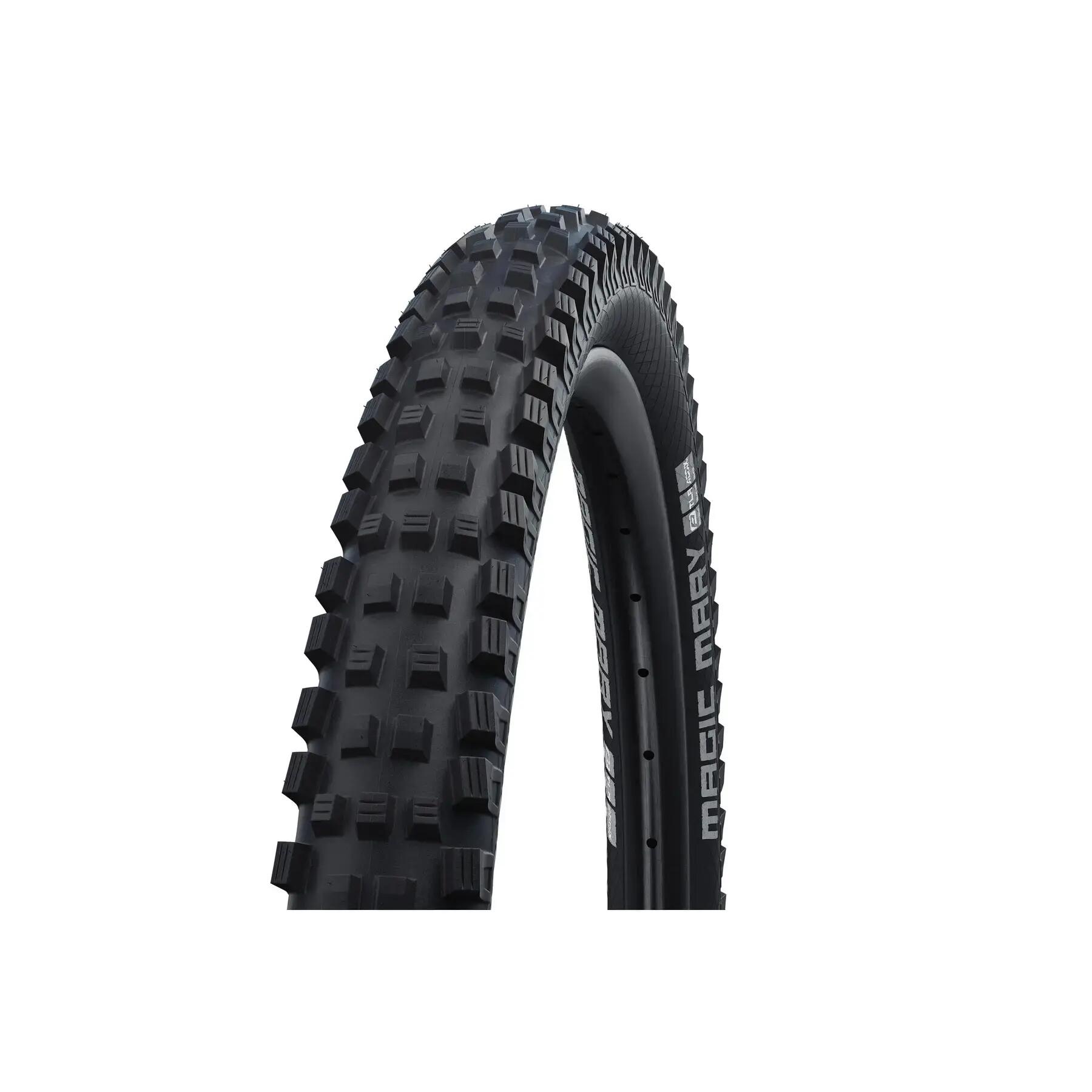 SCHWALBE picture