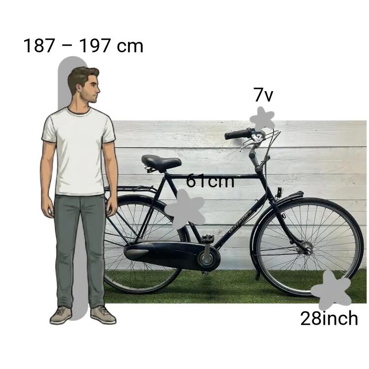 De segunda mano Gazelle Impala 2/4