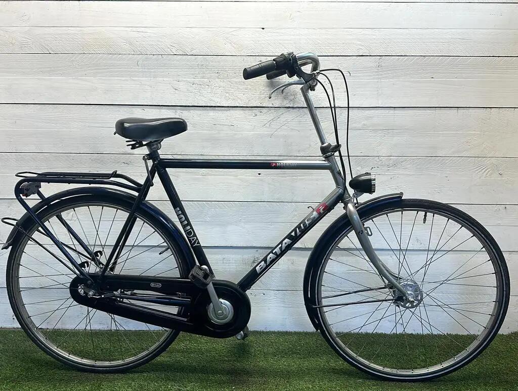 BATAVUS picture