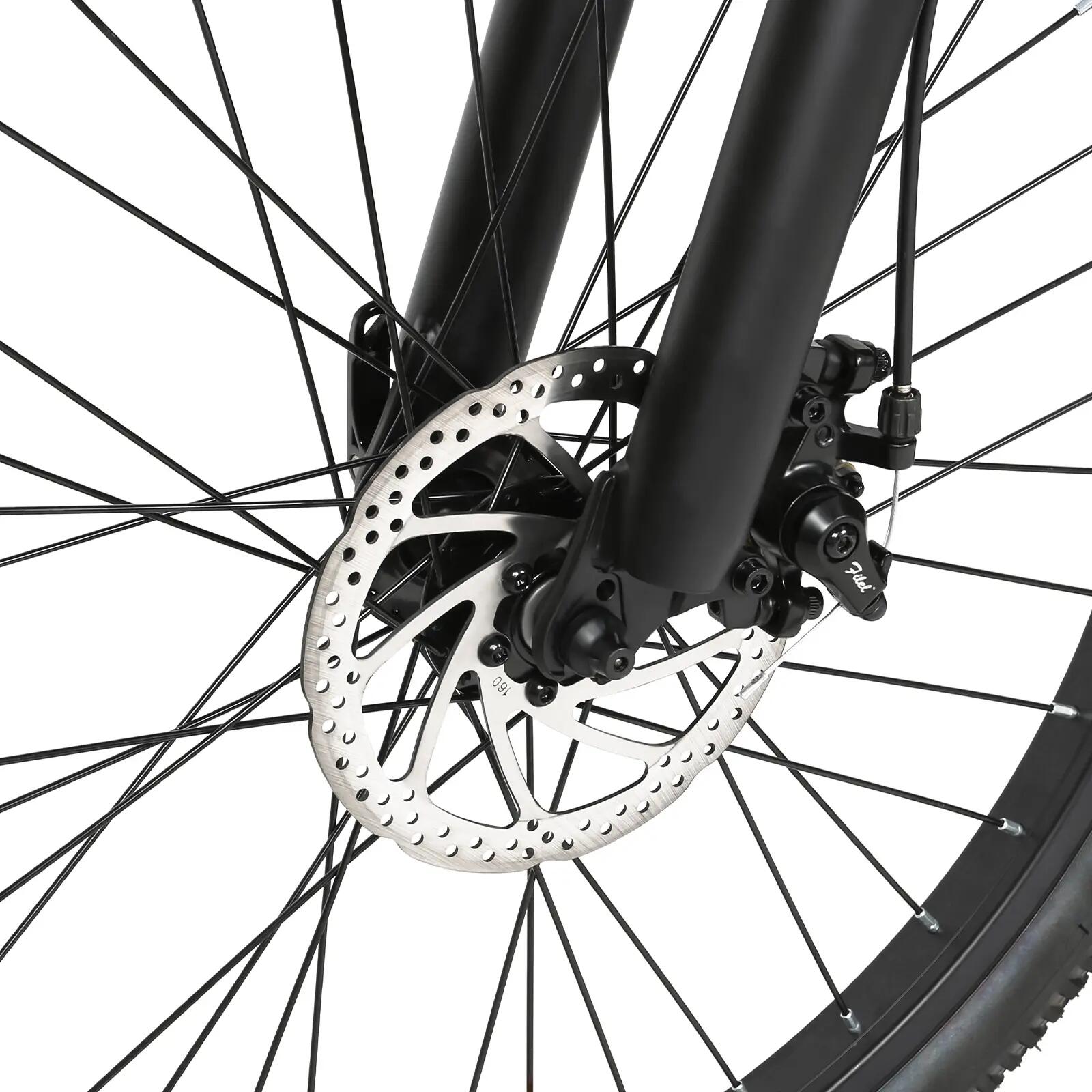 Rower elektryczny dla dorosłych SAMEBIKE EBE2, akumulator 36 V 13 Ah 10/15