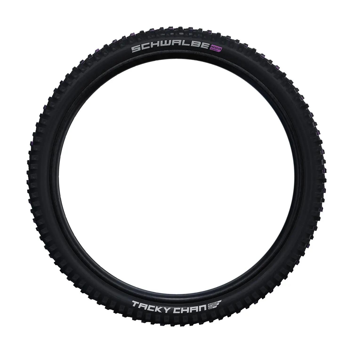 SCHWALBE picture