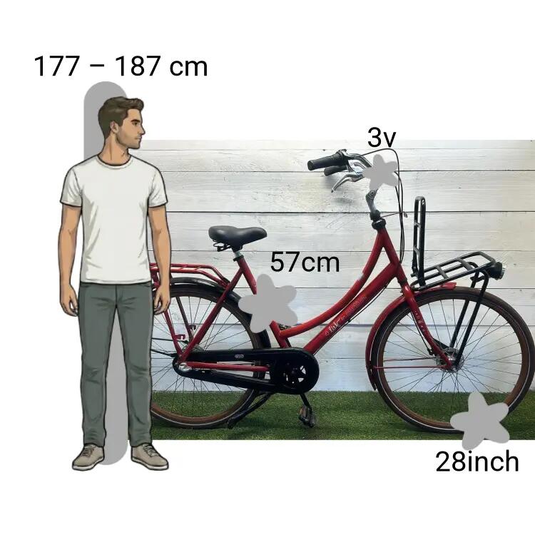 Bicicletta usata Cortina Lief 2/4