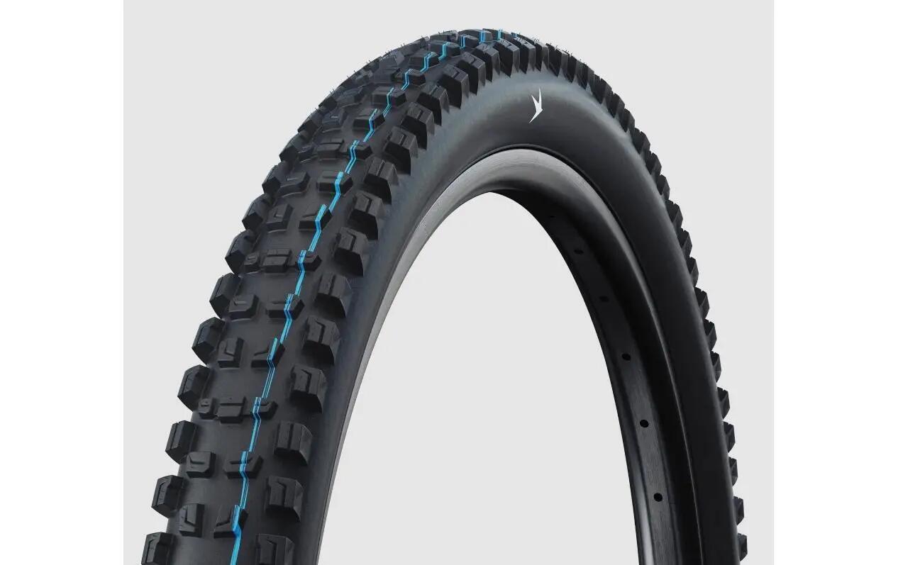 SCHWALBE picture