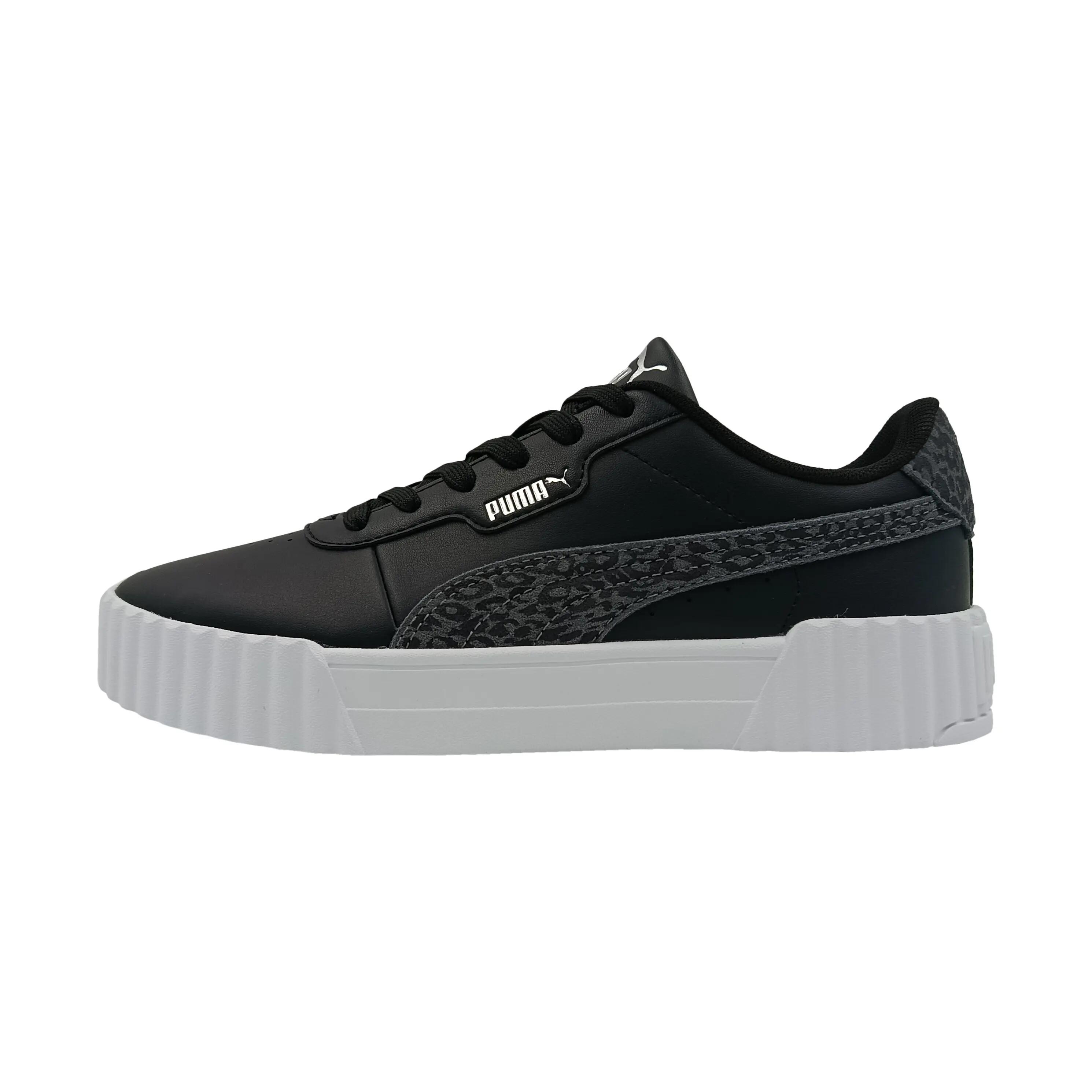 PUMA picture