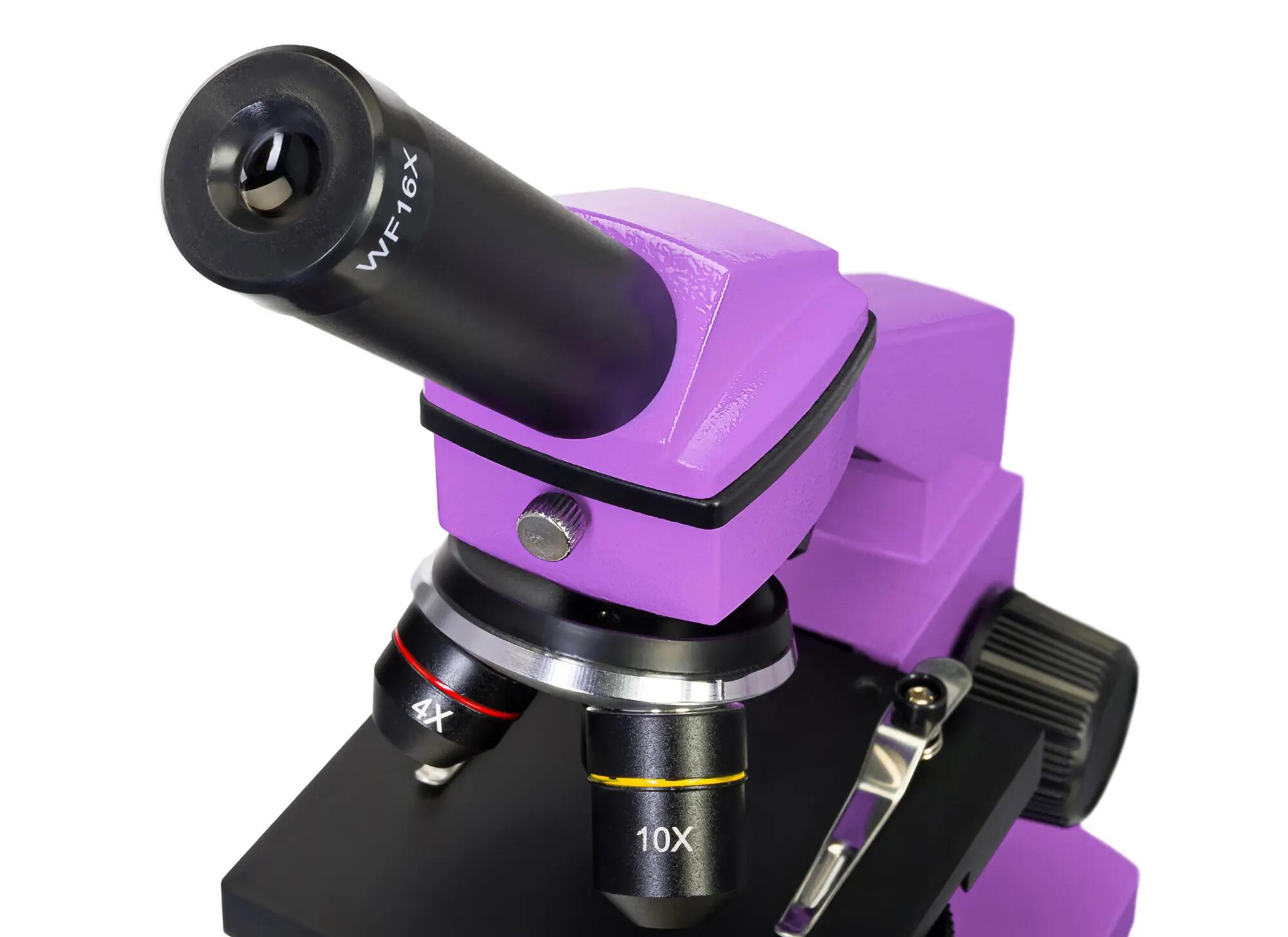 Microscopio Levenhuk Rainbow 2L PLUS Ametista con libro in italiano 8/14