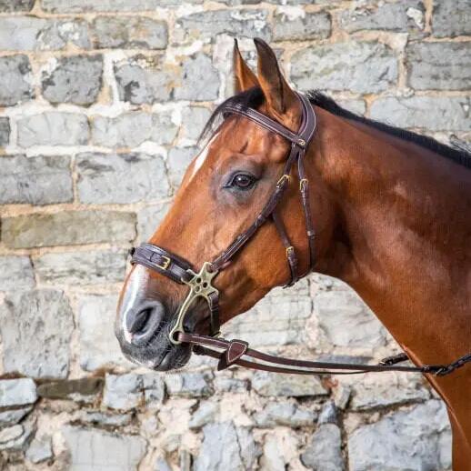 Hackamore bridle for horse Dy'on