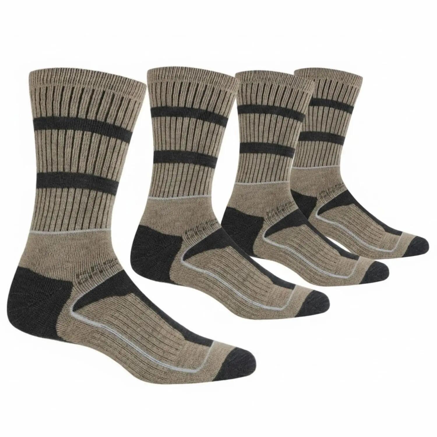Chaussettes de trekking Regatta Samaris 3 2-pack pour hommes 2/7