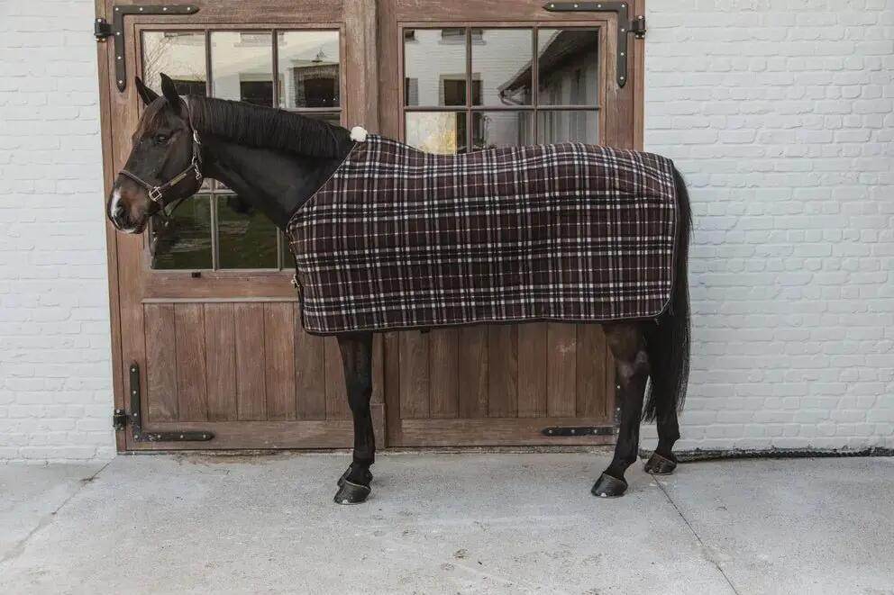 Cobertor de secagem para cavalos Kentucky Heavy 2/7