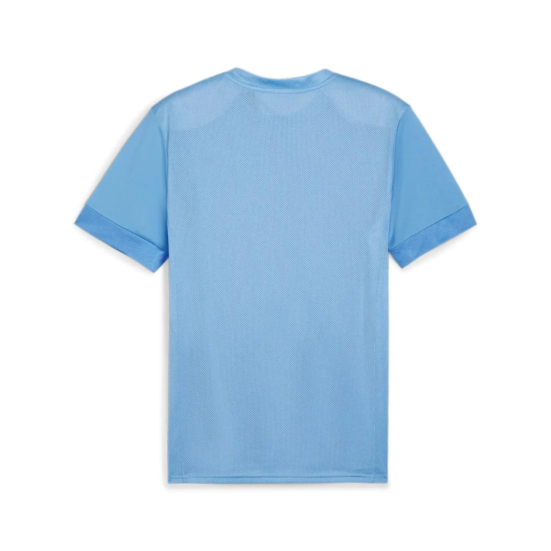 Puma teamGoal Matchday heren T-shirt 2/3