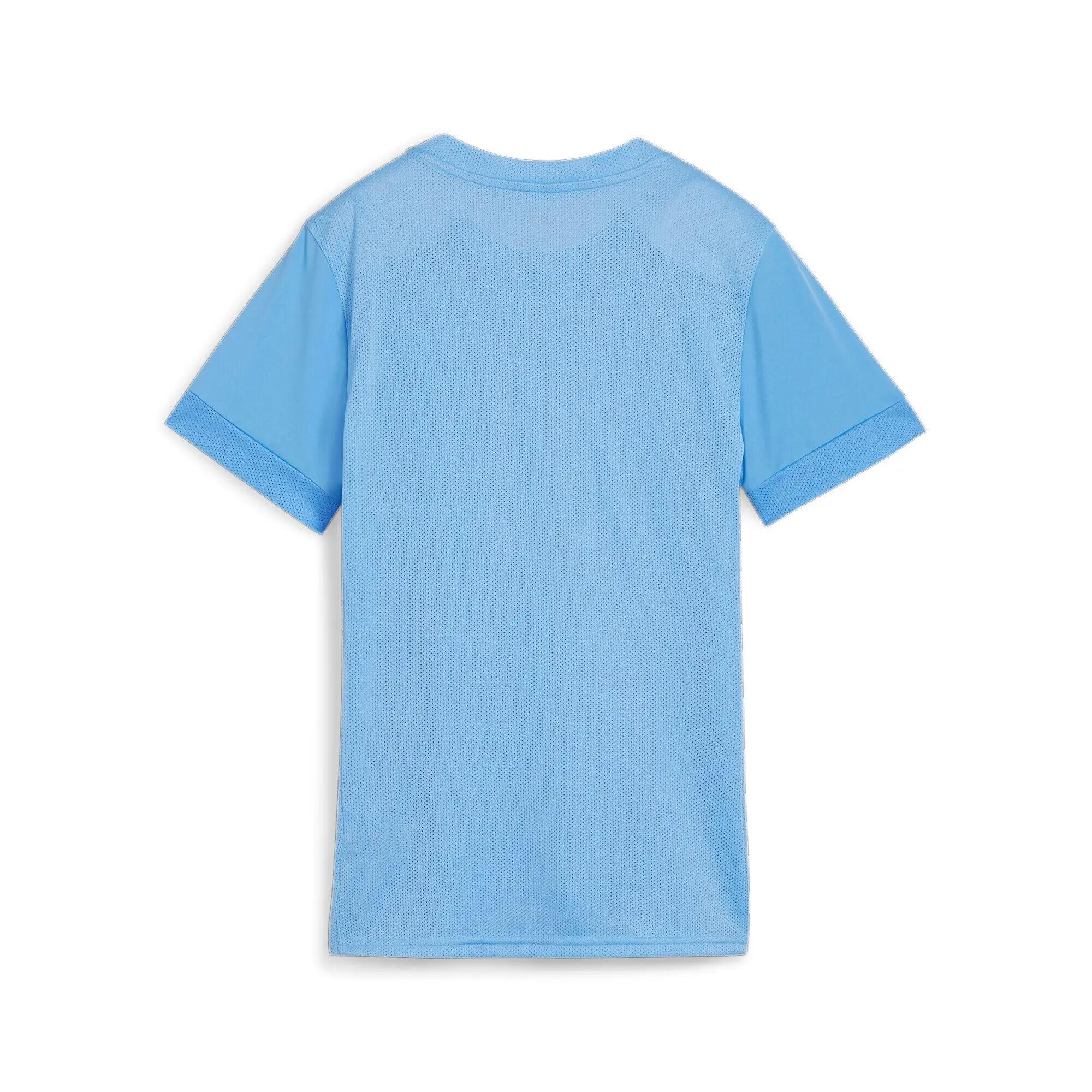 Puma Damen Trikot teamGOAL Matchday Jersey Wmns 705749 2/3