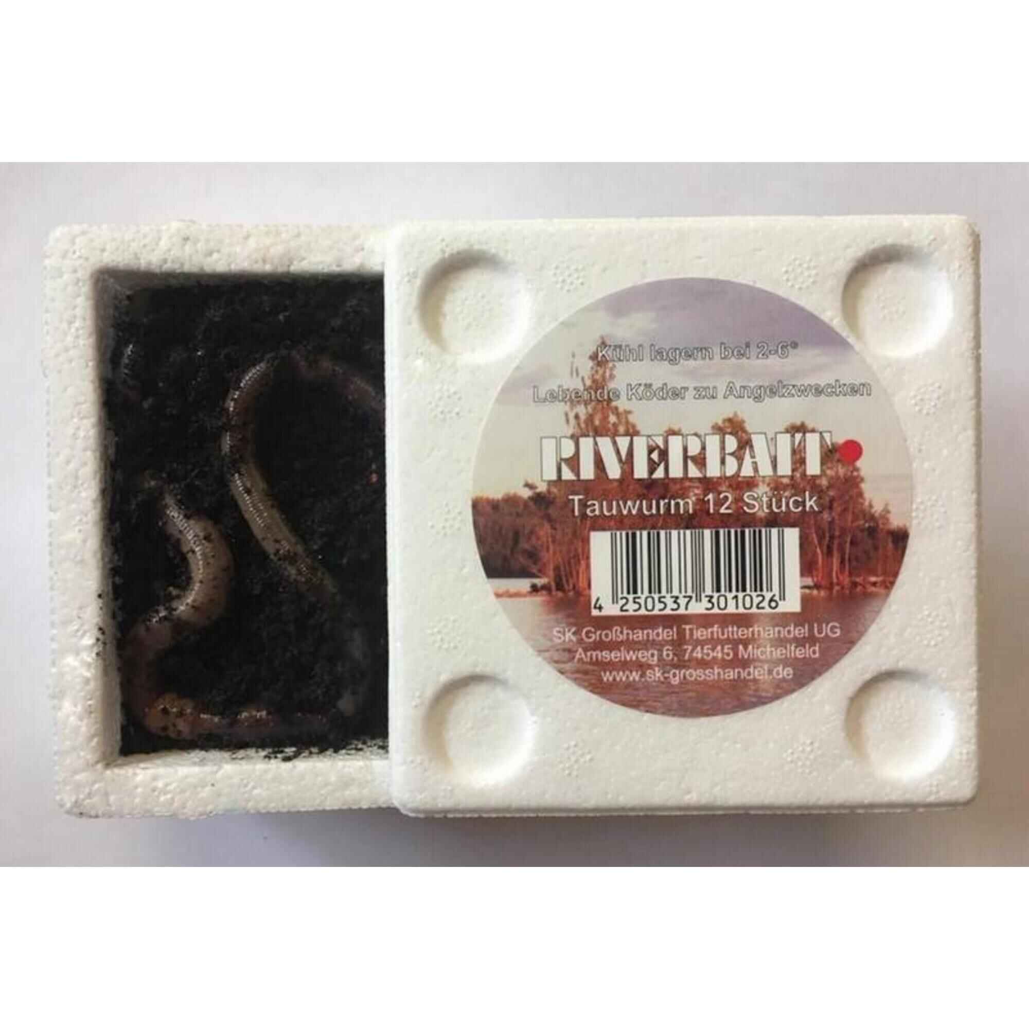 RIVERBAIT - Lebendköder Tauwurm in der Thermobox 12 Stück