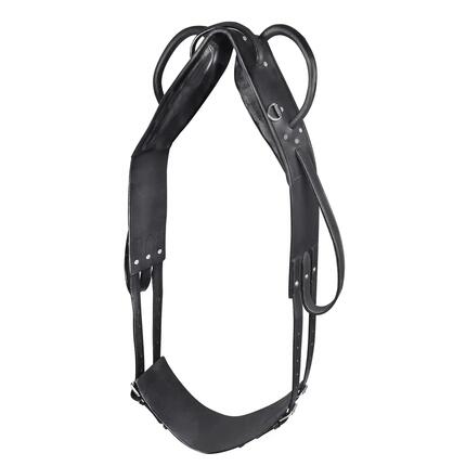 Surfaix pour cheval voltige et de longe Star