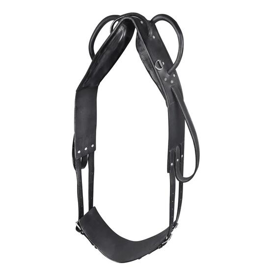 Surfaix pour cheval voltige et de longe Star